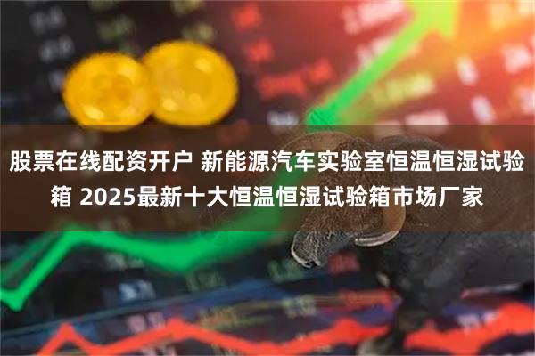 股票在线配资开户 新能源汽车实验室恒温恒湿试验箱 2025最新十大恒温恒湿试验箱市场厂家
