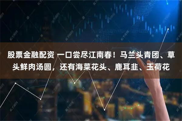 股票金融配资 一口尝尽江南春！马兰头青团、草头鲜肉汤圆，还有海菜花头、鹿耳韭、玉荷花