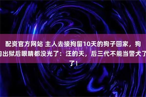 配资官方网站 主人去接拘留10天的狗子回家，狗狗出狱后眼睛都没光了：汪的天，后三代不能当警犬了！